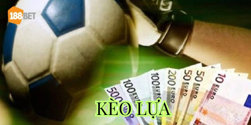 Săn Kèo Lựa Như Một Thợ Săn: Bí Kíp Chốt Kèo Từ Cao Thủ Tư duy của thợ săn